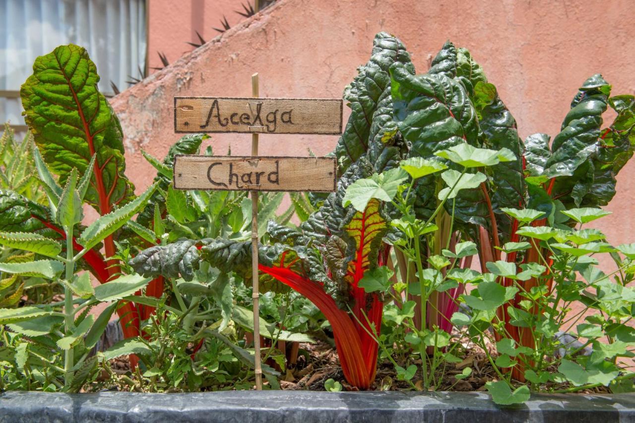 Casa Estrella De La Valenciana Hotel Boutique Guanajuato Luaran gambar