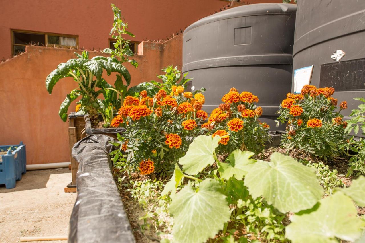 Casa Estrella De La Valenciana Hotel Boutique Guanajuato Luaran gambar