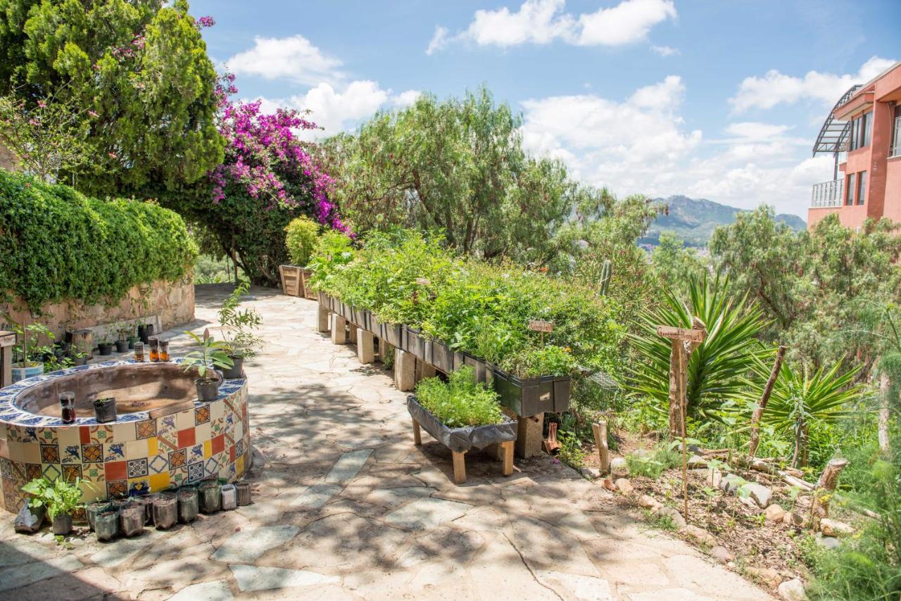 Casa Estrella De La Valenciana Hotel Boutique Guanajuato Luaran gambar
